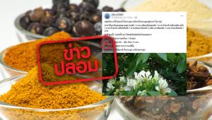 ข่าวปลอม! ดื่มน้ำสมุนไพร แก้โรคมะเร็งในกระดูก