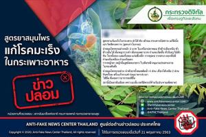 ข่าวปลอม! สูตรยาสมุนไพร แก้โรคมะเร็งในกระเพาะอาหาร