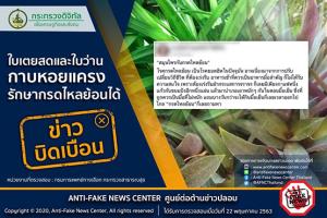 ข่าวบิดเบือน! ใบเตยสดและใบว่านกาบหอยแครง รักษากรดไหลย้อนได้
