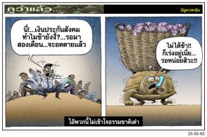 ไอ้พวกนี้ไม่เข้าใจธรรมชาติเต่า