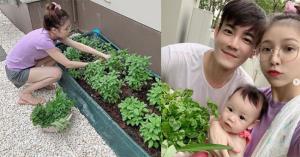 ฝึกใช้ชีวิตพอเพียง “ฟลุค-แอปเปิ้ล” ปลูกผักปลอดสารพิษกินเองทั้งครอบครัว