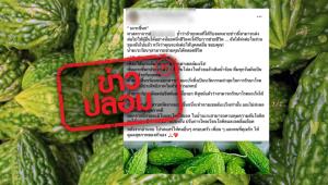 ข่าวปลอม! น้ำมะระขี้นกร้อน สามารถรักษาโรคมะเร็งได้ทุกชนิด