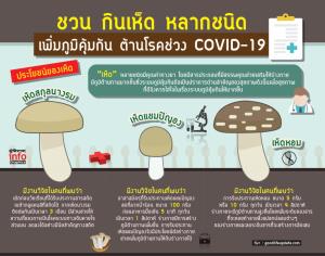 ชวน กินเห็ด หลากชนิด เพิ่มภูมิคุ้มกัน ต้านโรคช่วง COVID-19