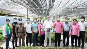 เดินหน้าต่อ! โครงการ “Forest For Life สร้างป่าสร้างชีวิต”  มอบกล้าไม้อีก 144,000 ต้นให้ชาวบ้านชุมชนบ้านอำเภอ จ.ชลบุรี