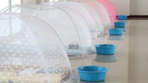 “หมอยง” เผยหากจะมีการผ่อนปรนให้มีการเข้าประเทศ “state quarantine” ยังคงมีความจำเป็น