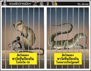 สัตว์ทดลองวัคซีน