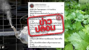 ข่าวปลอม! น้ำผักชีต้ม มีสรรพคุณล้างไตได้
