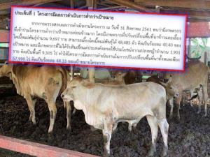 สตง.ชำแหละ! “โคบาลบูรพา” ยุค “บิ๊กตู่ 1” มูลค่า 1 หมื่นล้าน นโยบายเปลี่ยนนาเป็นที่เลี้ยงโคเนื้อ เป้า 1.2 แสนตัว เลี้ยงจริงแค่ 4.8 หมื่น