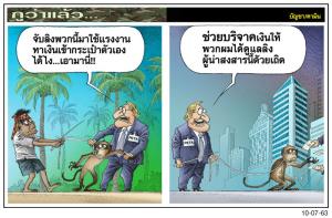 ใช้แรงงานลิง