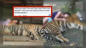 ดรามา! ต่างชาติระบุเสือที่ไทยถูกวางยา เผย ไม่ได้คาดหวังให้คนไทยปฏิบัติต่อสัตว์ให้ดีกว่านี้