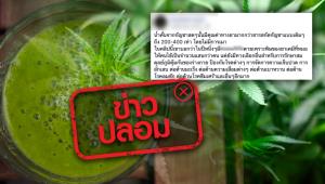 ข่าวปลอม! น้ำกัญชาคั้นสด ไม่ออกฤทธิ์ต่อประสาท ป้องกัน และรักษาโรคได้ดีกว่าสารสกัดกัญชา