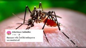 หมอเพจดัง เตือน 3 จังหวัด พบโรคชิคุนกุนยาระบาดหนัก แนะควรกำจัดแหล่งเพาะพันธุ์ยุง