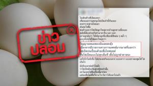 ข่าวปลอม! รายงานทางการแพทย์ชี้ ไข่เป็ดปนเปื้อนเชื้อไทฟอยด์