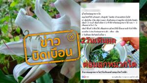 ข่าวบิดเบือน! รักษาต่อมลูกหมากโต ด้วยว่านแร้งคอดำ และต้นหูหมี