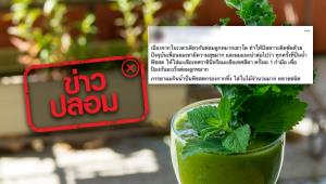 ข่าวปลอม! สูตรน้ำปั่นพืชสด รักษามะเร็งต่อมน้ำเหลือง และมะเร็งต่อมลูกหมาก