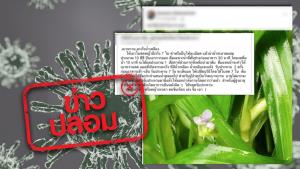 ข่าวปลอม! น้ำปั่นใบสดหญ้าปักกิ่ง รักษามะเร็งน้ำเหลือง