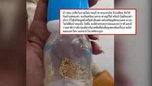 อย่าหาทำ! แช่ทองในน้ำให้เด็กทารกดื่ม อ้างเคล็ดลับเสริมบารมี หมอแล็บฯ ชี้อันตรายกว่าที่คิด