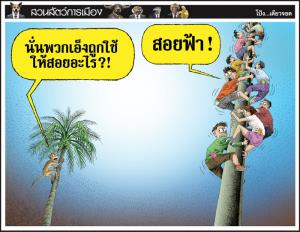 นี่ก็สอยเหมือนกัน