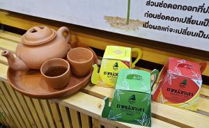 (มีคลิป) “ชาหน่อกะลา – อัลพินิ” จากพืชพื้นบ้านกลายเป็นชาต้านอนุมูลอิสระ เจาะตลาดของฝากเพื่อสุขภาพ ณ เกาะเกร็ด