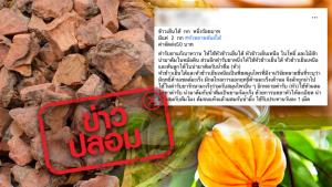 ข่าวปลอม! หัวข้าวเย็นใต้ ผสมส้มโมง และน้ำผึ้ง รักษาโรคมะเร็ง