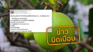 ข่าวบิดเบือน! กินยากับส้มโอ ทำให้เสียชีวิต