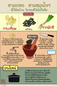 สามเกลอ สามสมุนไพรมีไว้ติดบ้าน รับรองชีวิตไม่จืดชืด
