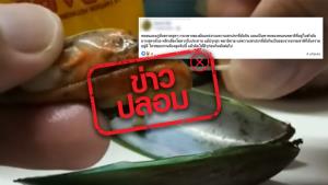 ข่าวปลอม! เส้นสีขาวในตัวหอยแมลงภู่คือพยาธิ