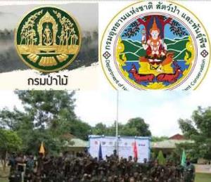 6 ปี 2 พันล้าน 11 โครงการจัดทรัพยากร กรมป่าไม้-กรมอุทยาน คุ้มค่าขนาดไหน?