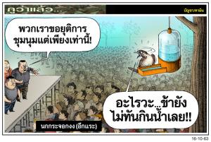 นกกระจอกงง(อีกแระ)
