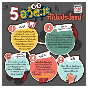 5 อวัยวะ ที่ไม่มีประโยชน์