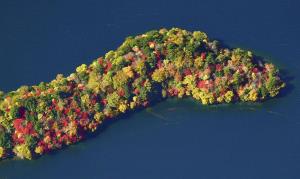 สีสันสะพรั่งรอบ "ทะเลสาบชูเซ็นจิ" ตื่นตาใบไม้เปลี่ยนสีที่ญี่ปุ่น