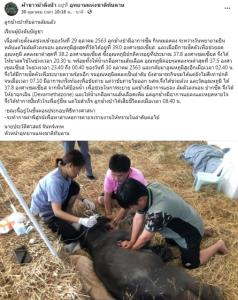 อาลัยทับลาน! สัตวแพทย์แจง “ลูกช้างพลัดหลงไม่มีอยู่จริง” นมบริจาคส่งต่อลูกช้างห้วยขาแข้ง