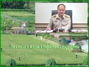 จ่อทบทวน “1 ตำบล 1 กลุ่มทฤษฎีใหม่” แผนเงินกู้สู้โควิด 9.8 พันล้าน พบผู้สมัครไม่เป็นไปตามเงื่อนไข
