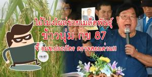 ระวังไอ้โม่งกินนิ่มขายเมล็ดพันธุ์ข้าวพื้นนุ่ม “กข87”