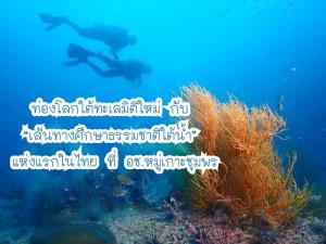ท่องโลกใต้ทะเลมิติใหม่ กับ  “เส้นทางศึกษาธรรมชาติใต้น้ำ”  แห่งแรกในไทย ที่ อช.หมู่เกาะชุมพร
