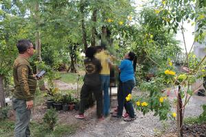 ลุง 57 ปี ป่วยซึมเศร้า ผูกคอตายใต้ต้นมะขาม หลังภรรยาเสียไป 2 ปี