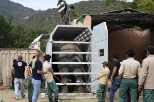 กัมพูชาเตรียมเพื่อนช้างเคียงคู่คลายเหงารับ ‘ช้างผู้โดดเดี่ยวที่สุดในโลก’ บินถึงเสียมราฐวันนี้