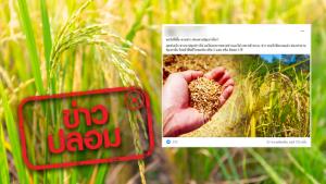 ข่าวปลอม! ซื้อ-ขายข้าว ต้องผ่านรัฐเท่านั้น ฝ่าฝืนมีโทษ