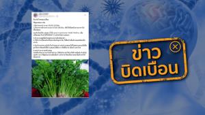 ข่าวบิดเบือน! ดื่มน้ำต้มสมุนไพร ช่วยป้องกันโรคสมองเสื่อม