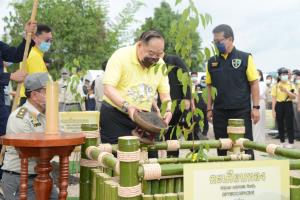ทส.เตรียมจัดพิธีเจริญพระพุทธมนต์กล้าไม้เพื่อเป็นสิริมงคล