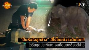 [คลิป] “ปั๊มหัวใจลูกช้าง” ฮีโร่ไทยดังระดับโลก!! ไวรัลสุดประทับใจ จนสื่อนอกต้องตีข่าว