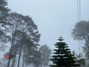 อากาศหนาวส่งท้ายปี ไทยตอนบนเย็นลง 2-4 องศา ใต้มีฝนตกเพิ่มขึ้น คลื่นสูงมากกว่า 4 เมตร