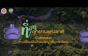 ส่องเส้นทาง Wildlife Corridor ทับลาน-เขาใหญ่ เชื่อมต่อสัตว์ป่า-ความหลากหลายทางชีวภาพ