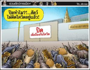 สัตว์ ไม่ติด