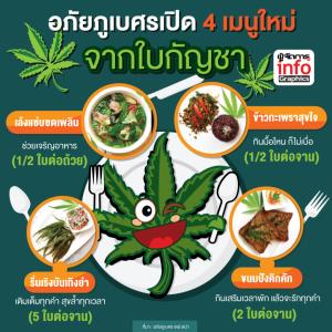 อภัยภูเบศร เปิด 4 เมนูใหม่จากใบกัญชา
