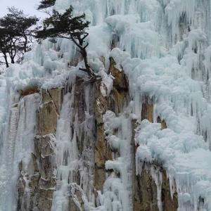 เย็นยะเยือก! “หุบเขาน้ำแข็งชองซง” จากน้ำตกกลายเป็นน้ำแข็งสุดงดงามในเกาหลีใต้