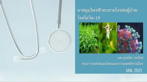 กรมการแพทย์แผนไทยฯ ทดสอบเบื้องต้น “ฟ้าทะลายโจร” ลดเชื้อผู้ป่วยโควิด-19 ได้ทุกราย