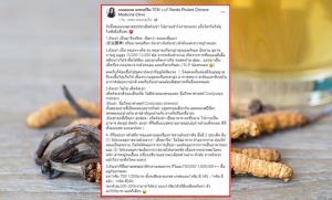 “หมอแนน” แพทย์แผนจีน โพสต์ข้อความสรุปประเด็น “ถั่งเช่า” เข้าใจง่าย