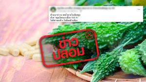 ข่าวปลอม! ยาแคปซูลมะระขี้นก ต้านเบาหวาน และลดน้ำตาลในเลือดสูง