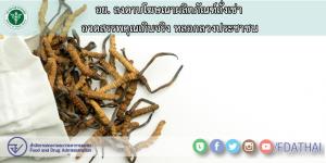 อย.จ่อเอาผิด ผู้ผลิต-ดาราพรีเซ็นเตอร์ โอ้อวดสรรพคุณถั่งเช่าเกินจริง